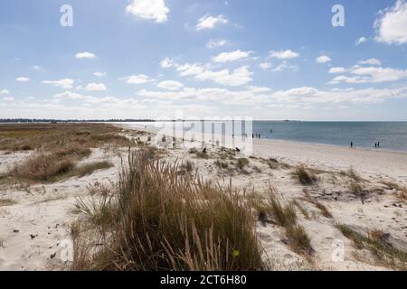 Plage de sable isolée sur l'île Thorney qui se jette dans le port de Chichester, dans le West Sussex. Banque D'Images