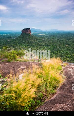 Paysage vu du rocher de Sigiriya Rock Pidurangala, UNESCO World Heritage Site, Sri Lanka, Asie Banque D'Images