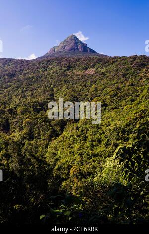 2243m sommet du pic d'Adam (Sri Pada) dans les hauts plateaux du centre de Sri Lanka, en Asie Banque D'Images