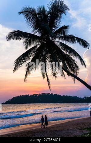Touristes sous un palmier sur la plage de Mirissa au coucher du soleil, côte sud du Sri Lanka, Province du Sud, Asie Banque D'Images