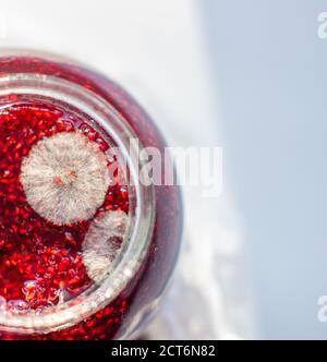 Moulez dans un pot de confiture de framboises. Dangereux pour la santé. Banque D'Images