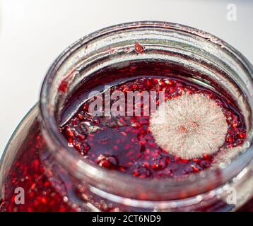 Moulez dans un pot de confiture de framboises. Dangereux pour la santé. Banque D'Images