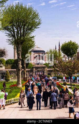 Sainte-Sophie (Aya Sofya) vue de la Mosquée bleue, Istanbul, Turquie, Europe de l'est Banque D'Images