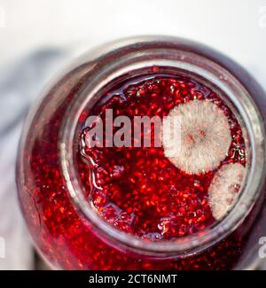 Moulez dans un pot de confiture de framboises. Dangereux pour la santé. Banque D'Images