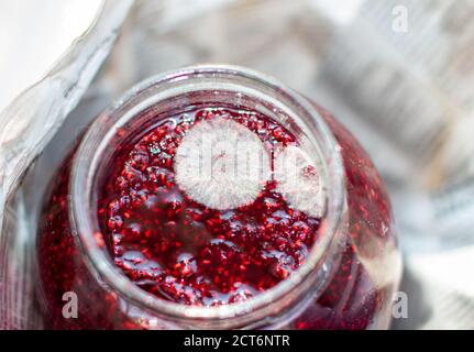 Moulez dans un pot de confiture de framboises. Dangereux pour la santé. Banque D'Images