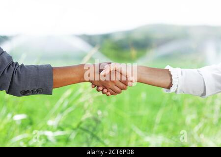 Femmes d'affaires qui se secouent la main dans un champ vert avec de l'eau arrosés Banque D'Images