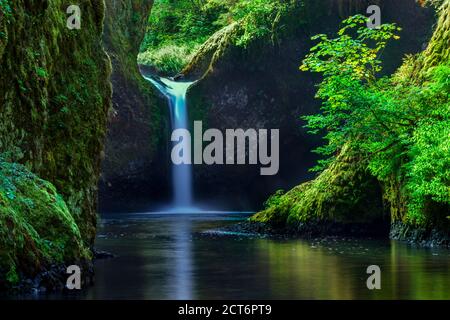 Punchbowl Falls le long d'Eagle Creek dans la gorge de la rivière Columbia, Oregon, États-Unis Banque D'Images