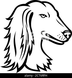 Icône mascotte illustration de tête d'un Saluki, également connu sous le nom de lévrier persan ou Tazi, une race de chien classé comme un lévrier sur fond isolé dans la r Illustration de Vecteur