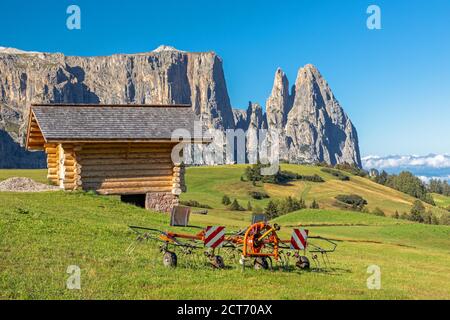 Sur le Seiser Alm, Alpe di Siusi, avec vue sur la montagne Schlern, Sciliar, Tyrol du Sud Banque D'Images