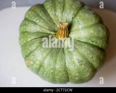 Citrouille mûre, verte entière à l'automne sur la coupe Banque D'Images