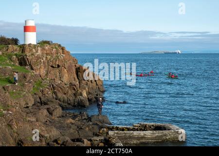 Les kayakistes de mer passent tandis que les gens pêchent à partir d'un affleurement rocheux sur la côte de Fife près d'Aberdour, en Écosse. Banque D'Images