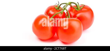 Tomates sur une branche verte sur fond blanc. Tomates fraîches et lumineuses. Banque D'Images