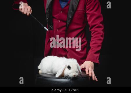 Magicien homme fait des tours avec le lapin blanc et baguette magique, éclat bleu de poussière Banque D'Images