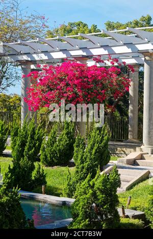 Sunken Garden, Grand Pergola, étang, 1915, arbustes verts, fleurs de bougainvilliers magenta, historique Spanish point, Floride, Osprey, Floride Banque D'Images