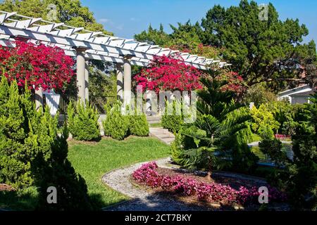 Sunken Garden, Grand Pergola, étang, 1915, arbustes verts, fleurs de bougainvilliers magenta, historique Spanish point, Floride, Osprey, Floride Banque D'Images