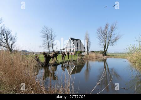 Un lakehouse vert hollandais au bord d'un lac avec réflexion dans l'eau près d'Amsterdam, aux pays-Bas Banque D'Images