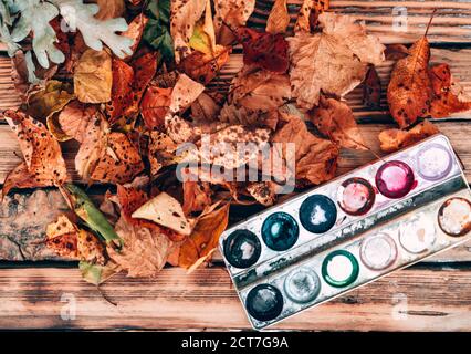 Une palette d'art avec des peintures multicolores vides en gros plan sur une table en bois, et à côté d'elle jaune et orange feuilles d'automne tombées des arbres. Vider un Banque D'Images