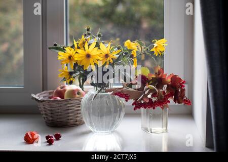 Un bouquet d'artichaut de jérusalem jaune dans un vase transparent sur un rebord de fenêtre blanc devant le jardin d'automne. Viburnum rouge dans un pot de pharmacie en verre. W Banque D'Images