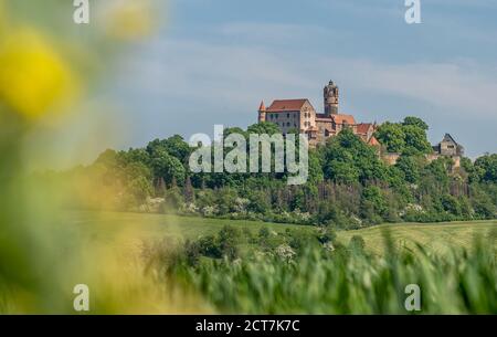 vue sur le château de ronneburg à hesse, en allemagne, au premier plan vert Banque D'Images