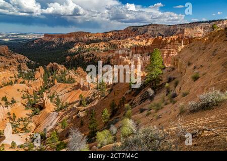 Sunset point belvédère dans le parc national de Bryce Canyon dans l'Utah Banque D'Images