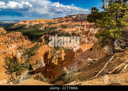 Sunset point belvédère dans le parc national de Bryce Canyon dans l'Utah Banque D'Images