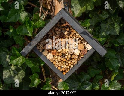 Gros plan d'un hibernaculum, communément connu comme un hôtel de insectes, attaché à une souche d'arbre. Banque D'Images