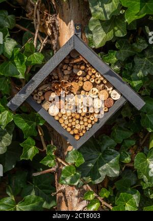 Gros plan d'un hibernaculum, communément connu comme un hôtel de insectes, attaché à une souche d'arbre. Banque D'Images