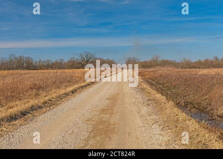 Chemin rural traversant un marais des Prairies dans le Midewin National Tallgrass Prairie dans l'Illinois Banque D'Images