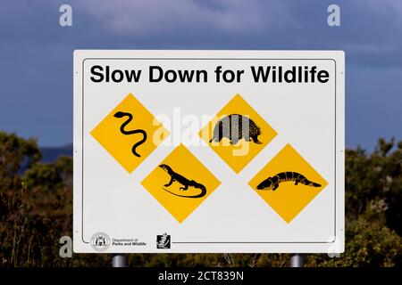 Le panneau de signalisation indique que la FAUNE et LA FLORE du Cap DOIVENT RALENTIR Le Grand National Park en Australie occidentale Banque D'Images