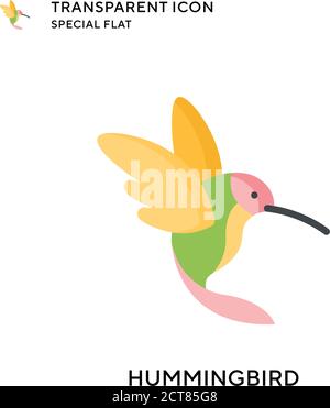 Icône de vecteur Hummingbird. Illustration de style plat. Vecteur EPS 10. Illustration de Vecteur