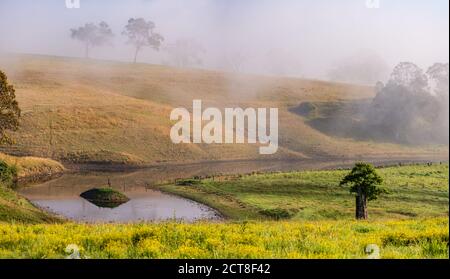 Campagne vallonnée et terres agricoles couvertes de brouillard dans la région Upper Hunter de l'Ouest de la Nouvelle-Écosse, en Australie. Un point d'image de 13. Banque D'Images