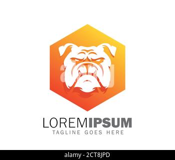 Un logo vectoriel de bouledogue de forme hexagonale en orange combinaison de couleurs Illustration de Vecteur