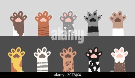 Collection de pattes de chat moelleuses. Ensemble de différentes silhouettes de pied de chaton mignonnes isolées sur fond gris et blanc. Animaux et animaux de compagnie concept. Vecteur Illustration de Vecteur