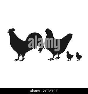 Silhouette d'animal de ferme en noir sur fond blanc, poulet Silhouettes isolées sur vecteur blanc Illustration de Vecteur