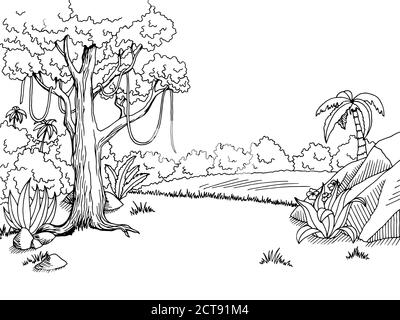 Jungle forêt graphique art noir blanc paysage dessin illustration vecteur Illustration de Vecteur