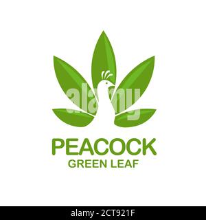 paon créatif simple avec logo feuille vert vecteur Illustration de Vecteur