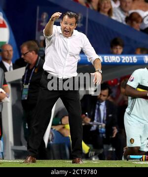 Toulouse, Frankreich. 26 juin 2016. Firo: 26.06.2016, football, international, EM 2016, UEFA, EURO 2016, championnat d'Europe 2016, équipe nationale, Round of 16, HUN, Hongrie - bel, Belgique 0: 4 jubilation coach gérant de Belgique Marc Wilmots | usage Worldwide Credit: dpa/Alay Live News Banque D'Images