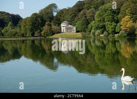 Cygne sur un lac avec le Panthéon au bord entouré d'arbres dans les jardins de Stourhead House. Stourhead House, Warminster, Wiltshire, Angleterre, Royaume-Uni. Banque D'Images