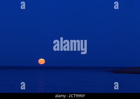 Pleine lune sur la mer le long de la mer Baltique. Ciel bleu et lune montante. Banque D'Images