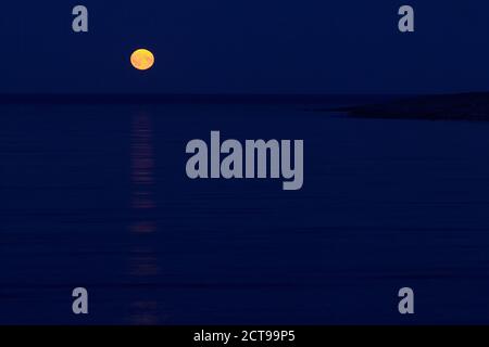 Pleine lune sur la mer le long de la mer Baltique. Ciel bleu et lune montante. Banque D'Images