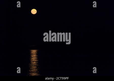 Pleine lune sur la mer le long de la mer Baltique. Ciel bleu et lune montante. Banque D'Images