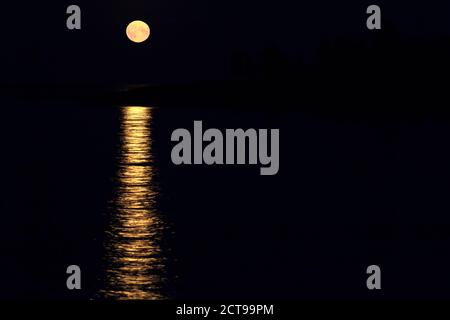 Pleine lune sur la mer le long de la mer Baltique. Ciel bleu et lune montante. Banque D'Images