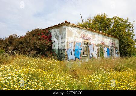 Ancienne ferme en pierre abandonnée couverte de graffitis et entourée de fleurs de Marguerite. Sud du Portugal. Banque D'Images