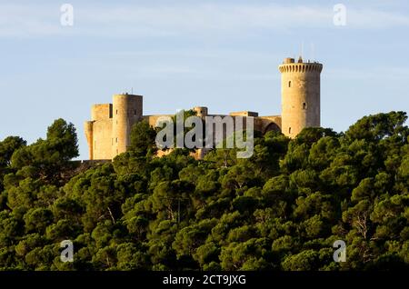 Espagne, Majorque, château de Bellver Banque D'Images