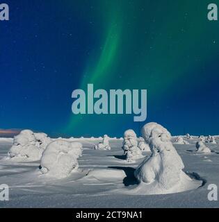 La Scandinavie, la Finlande, l'Kittilae, lumières polaires, Aurora Borealis Banque D'Images