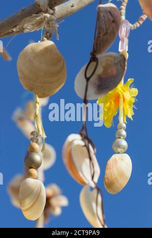 L'Espagne, Îles Baléares, Formentera, arbre des désirs aux moules