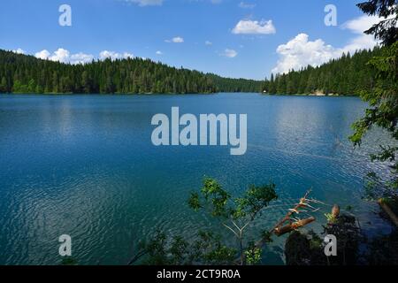 Le Monténégro, parc national de Durmitor, vue sur le Lac Noir, Crno Jezero Banque D'Images