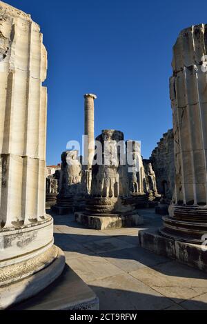 La Turquie, Aydin, antique temple d'Apollon, site archéologique de Didymes Banque D'Images