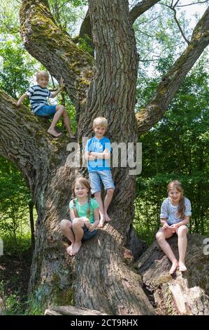 Germany, Bavaria, quatre enfants assis sur un arbre à la forêt urbaine Banque D'Images