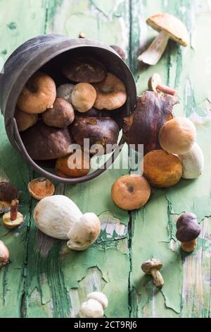 Différents champignons sauvages sur table en bois Banque D'Images